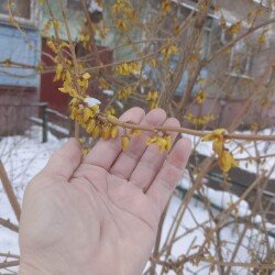 IMG_20250409_1135013a08614f3538b95b