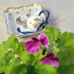 New-Year-20266a6885f04d8dd023