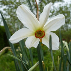 P105019184ba2299908f8b45