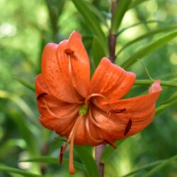 7lqmPP7t9xnuzrn8Z5bBzrI5AupkV2Vg7Z1Nd_-DL6YHO8bF7Fk1RODG5e4olldLyZxIP5cY3jPYWeKxLR5dlnRk05f0ae26be505e53