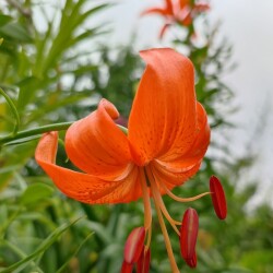 GiCob9IYDzVuvHY5weC_ngJphxclw5uWZdm3ejFDdu_TIdw1Qi3kbziiG10uAibTR-P566XuxHhH5OiI_cGVTmfNc04e6390de97640c