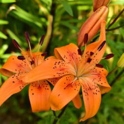 i-4823d0dcbbd1aea8435