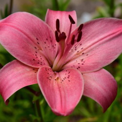 i-51ab57cf5ead5cccbf