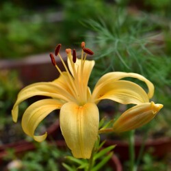 1zX5MS6vK8eOQyazcJbrASZdI1v9YTaUmGvUW2HINHHcElMkWmgasHOr1gJO9QaBcKyNjHLVO7-BGF3Ly7xFn3lb2fd17a5839e786a8