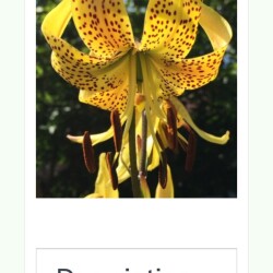 IMG_20260114_1002274f4c202fdbf6cda7