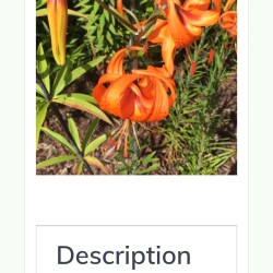 IMG_20260114_100259e7c12ba78a2da070