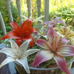 IMG_20250726_09204776e05d02357972f0