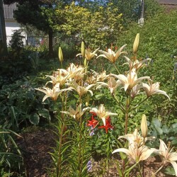 IMG_20250726_100005f27894b997dbf900