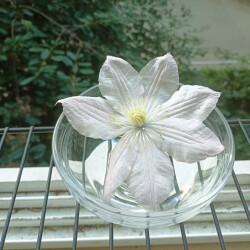 IMG_20250711_2015151b3c6ad3cff7ec6b