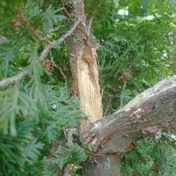 IMG_20250725_1251270e960df6f15366be