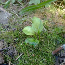 IMG_20250726_124335ab3df2a71dc70ab0