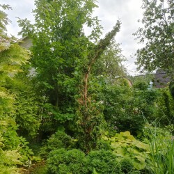 IMG_20250803_080703a89c4d2d7c4111be