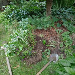 IMG_20250824_123240b3a074975af65176