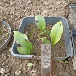 IMG_20250826_1242002ae3329d34bd894e