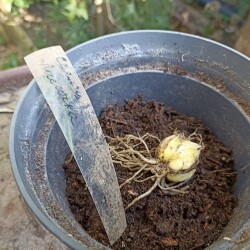 IMG_20250831_153409560c6ff443481a07