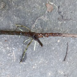 IMG_20250914_163605875ed8f3f6070322