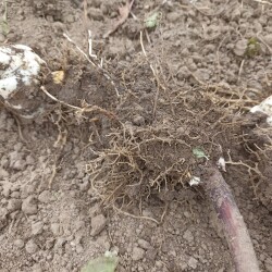 IMG_20250927_125556db284ee69ba8b04d