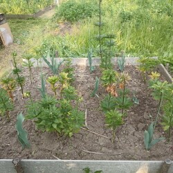 IMG_20250605_183553e1fdc92f54963de5