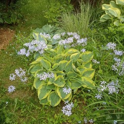 IMG_20250606_193240300da7daafe85da0