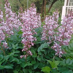 IMG_20250606_2047464fa8a610f86e7ba9