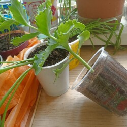 IMG_20250613_1054321076174fde5db808