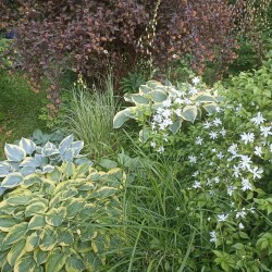 IMG_20250621_1858258f01c50ad890ad77