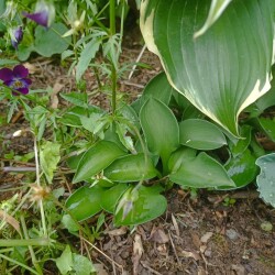 IMG_20250622_182622c107569d9c40d881