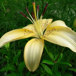 qMsdo7JSfh4-tW8AI3QRpMX_zldo2bawgg_aT6my9Aw_gBjjZ3vqDFIzP_Ey-5MkDtBUKMdTd3ab657f9ebd1c12