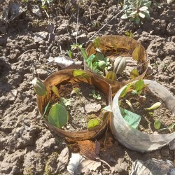 IMG_20250416_122633a53a327e4b49ec40