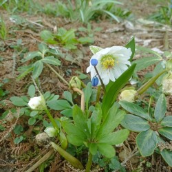 IMG_20250419_091638c252674ca6f72fd4