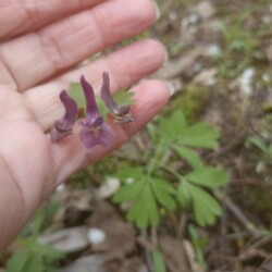 IMG_20250427_13222227c2bb6b3e3e9a19