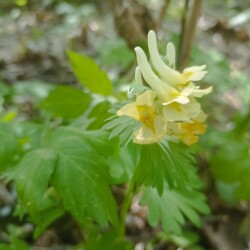 IMG_20250428_1310040a63a3e743c9b772