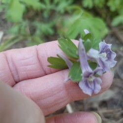 IMG_20250428_134510b445721d3d1daf11