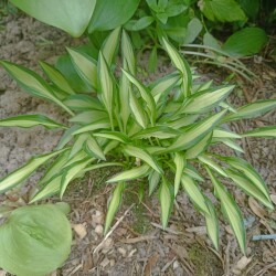 IMG_20250531_120804bb007ab4f0e5da4f