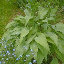 IMG_20250531_1223577922f6a8c8052aeb