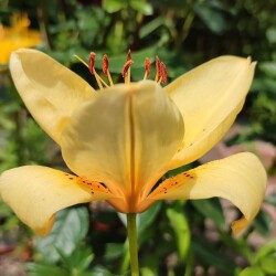 BGLtAIXwbxZP91728hNGcnn5yOscKvaHlIf4aG3LQFjpZRL8M6Y6XIRiLIvOy4buQYKnqxtLE8VHdlpYLjw3CQls2efa7846f6ba8b7e1