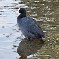 20250817_185816f2f605d9bf443c57