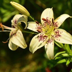 0xgUDdb1CdgW_qbiBOj0y6giCJYZMyg1dksimf0EGkDVyk2gatuEmxNlSiZWADbHTihmaVN-LaDLpYNHDFILsEs338a46128e76b2578