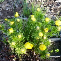 P1210820adf2ec5858dff599