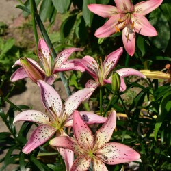 qGKIoQWLuDjrNwhlDOcclzMMf_X1GYr37mUu09P4fKHzxEz7_qFrNLJy17rwU1nQJJy-mn9tg2euqN_UuGzXuBjs40e2123f623c4b2a