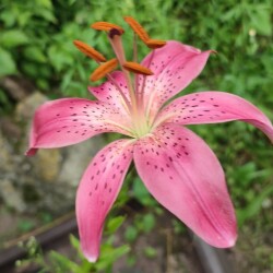 3-EX7yuGZoIt6emGzrCd14_SrnMtdgxDy86z7P4pnzmY1hAkcmnjlzYFs-GnHSVYyWWBndLuXSx3mzZKF9vytE6N2ac097fd382f366e4