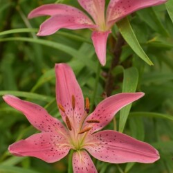 4M6bg4deil9YQOEFSihkfKG1E-kAiuVxe3YyS7wePGtwJ1v7gD1DDr1MRlPVkESTiHg5F0wSGAh8CYagLyBpoe0Z2e654191e6694d387