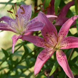 6k91UeiRWhf4fjhSEgMwUmOSzwDffNRHTHC-5DIZHoCXDd7uIsuvTtuO94-MFfjKObZmALc99f-NILaby1Ht1f642c1cbcc75645cf5c6