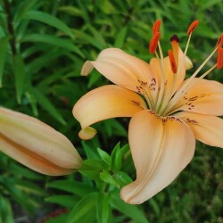 53841553456_0cc0bb12d6_b29ec840f89ea5798