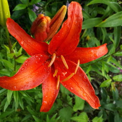 48309110627_8ecd02f85a_be9b43c4e720f0541