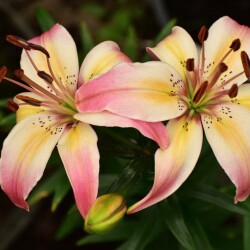 BsN6IKDzh3PMiRKW6zWtpkumH8PuK8dVyC7da-AScubEa7tc6bfrzKoCwbNbfvPMNXpo8daueW8cffaA8xXvy4ci35380cc67917a0edf