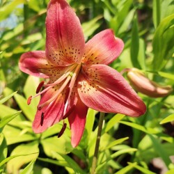 Wepdrl2LNOAXFLPFHZ8V3LKb7U25jYadcdbrU1Zqvw_v85RMFtcDBFQCfZ564gTSliXUMgs5n2R5nvoPnS-MuOAM46ac7919613d920a