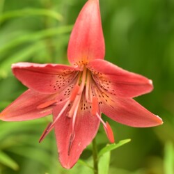 ven2qb0LptUZltnSrG0qCsx9Vnr6fBpWPL4LaVPZ55q1ZeWW7MnDTBb2yKApNhS674BadTxe9a7Mz_kj2MzwrhDD36ace9510ac34ea8