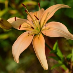 kkUi6ZojDi6TUufhrTVqaJo7nXL7f8WATzYz2w3XXoapiY2wzM46v_bzG2TKmd2rAHd-PF1RZFTDT3xAjLF27ahre92b0f4682d5c0d4