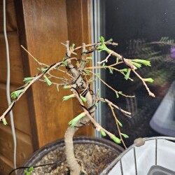 20260210_22105135d327105439d7ce